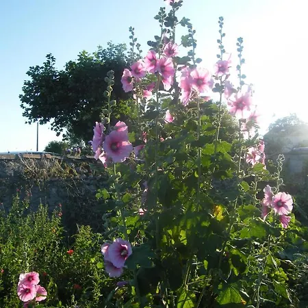 Holiday home Maison De Village En Bord De Oleron